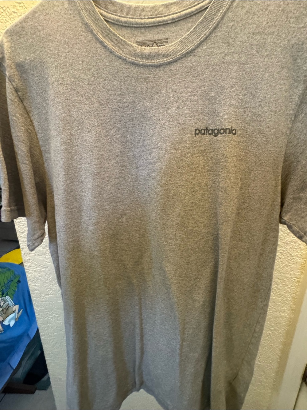 Patagonia Short-Sleeve Crew T-Shirt in Heather Gray